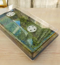 Lee Valley 2 1/2" Humidity Dome