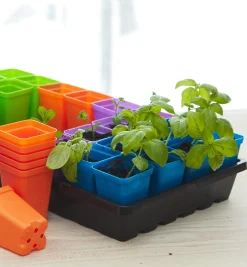 Lee Valley 2 1/2" Multicolor Pots