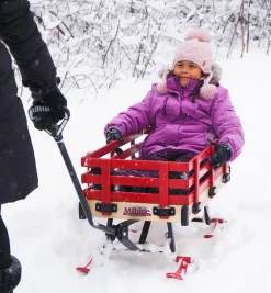Lee Valley All-Season Convertible Wagon