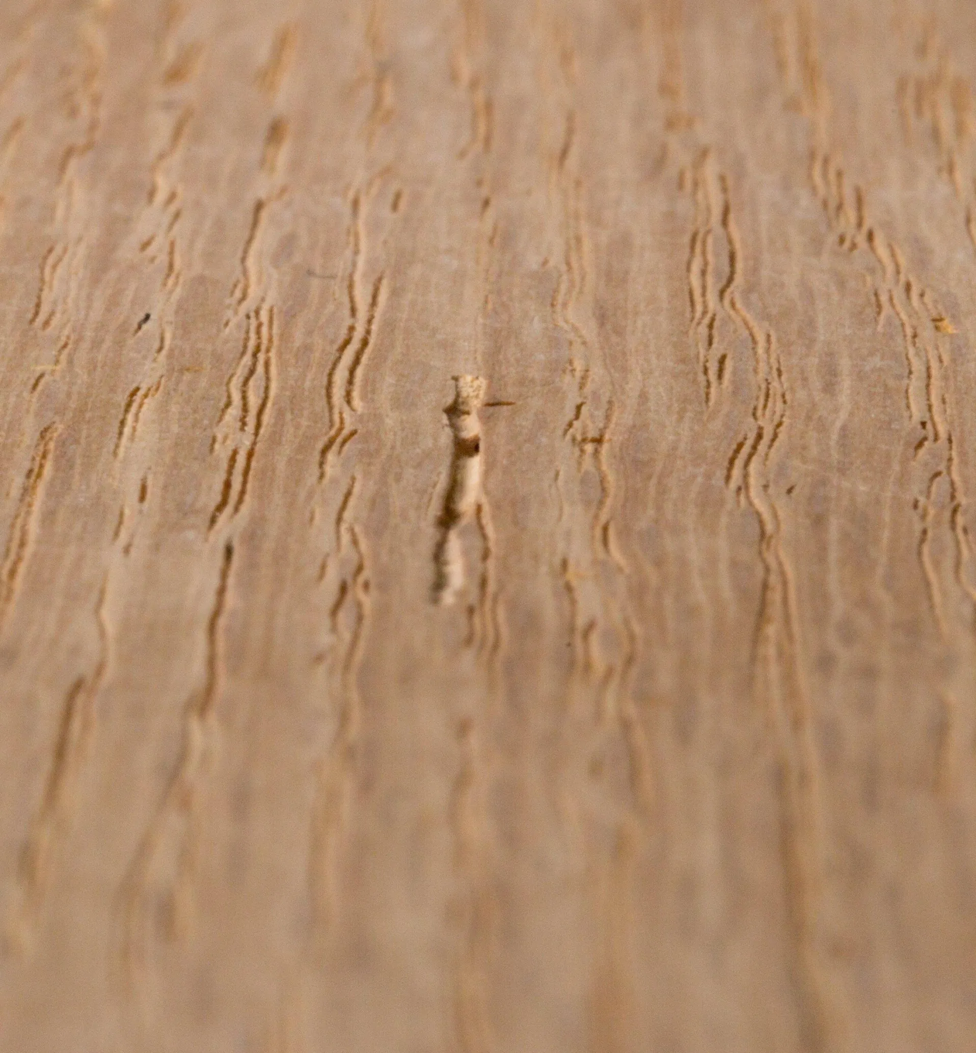 Lee Valley Aqua Coat Wood Grain Filler