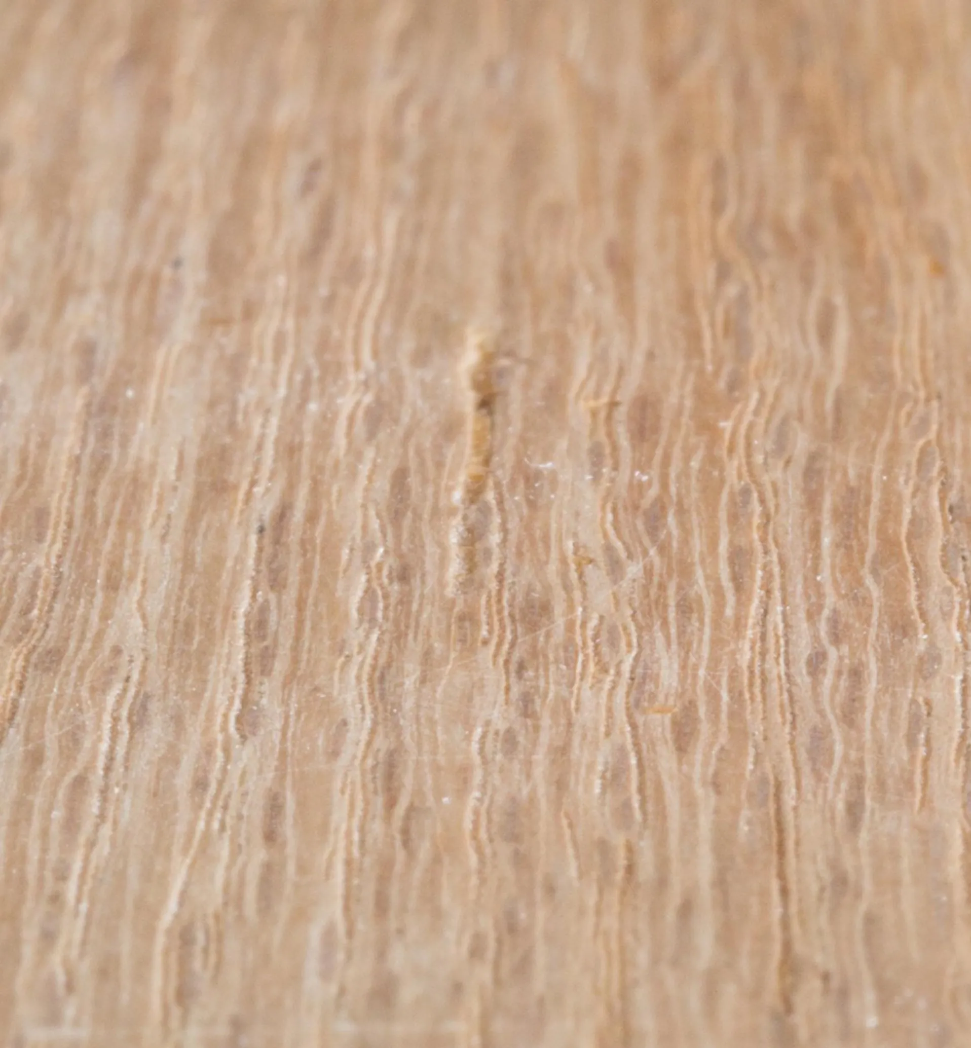 Lee Valley Aqua Coat Wood Grain Filler