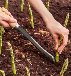 Lee Valley Asparagus/Harvest Knife