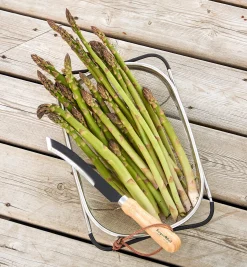 Lee Valley Asparagus/Harvest Knife