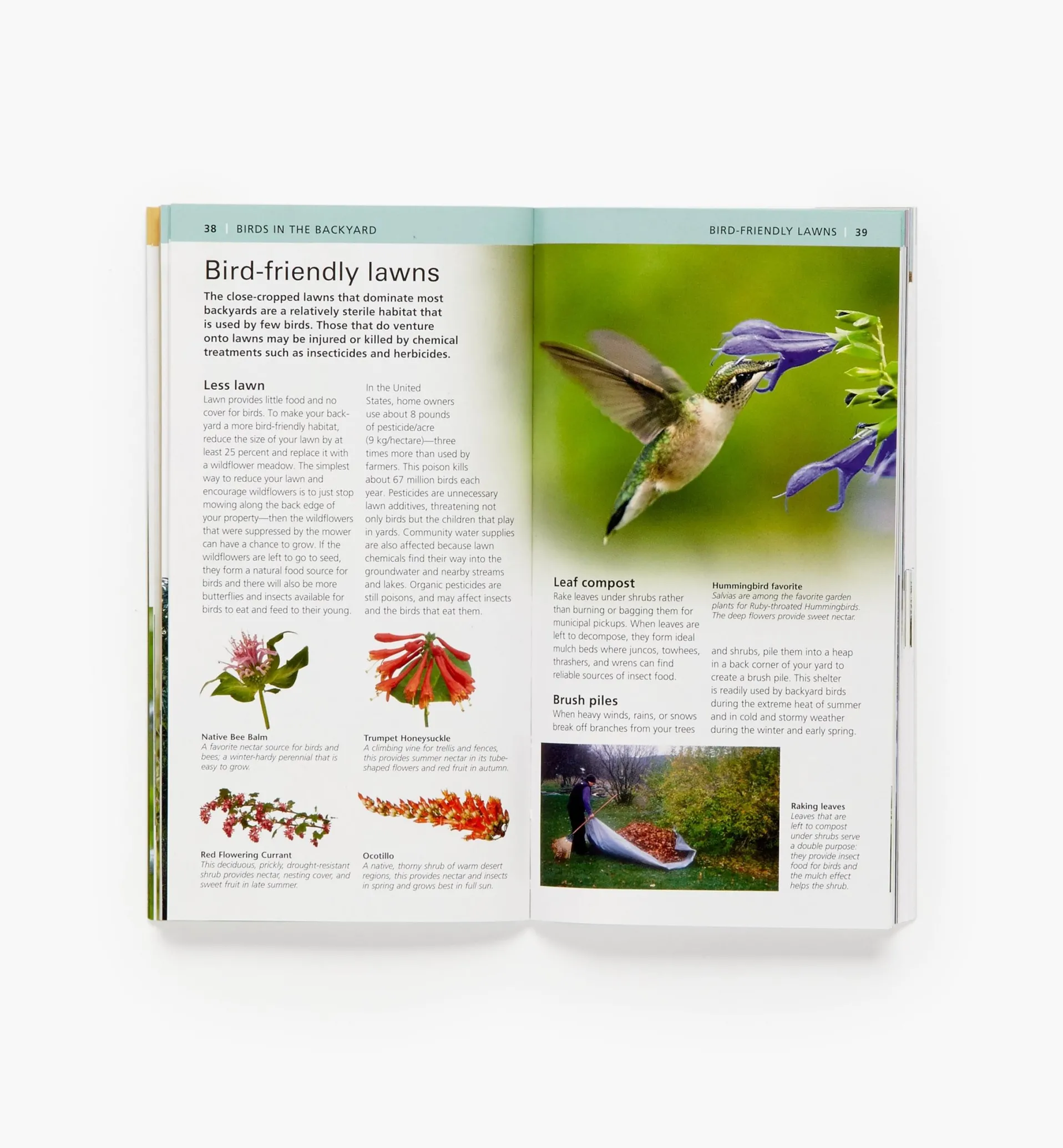 Lee Valley Audubon Pocket Backyard Birdwatch