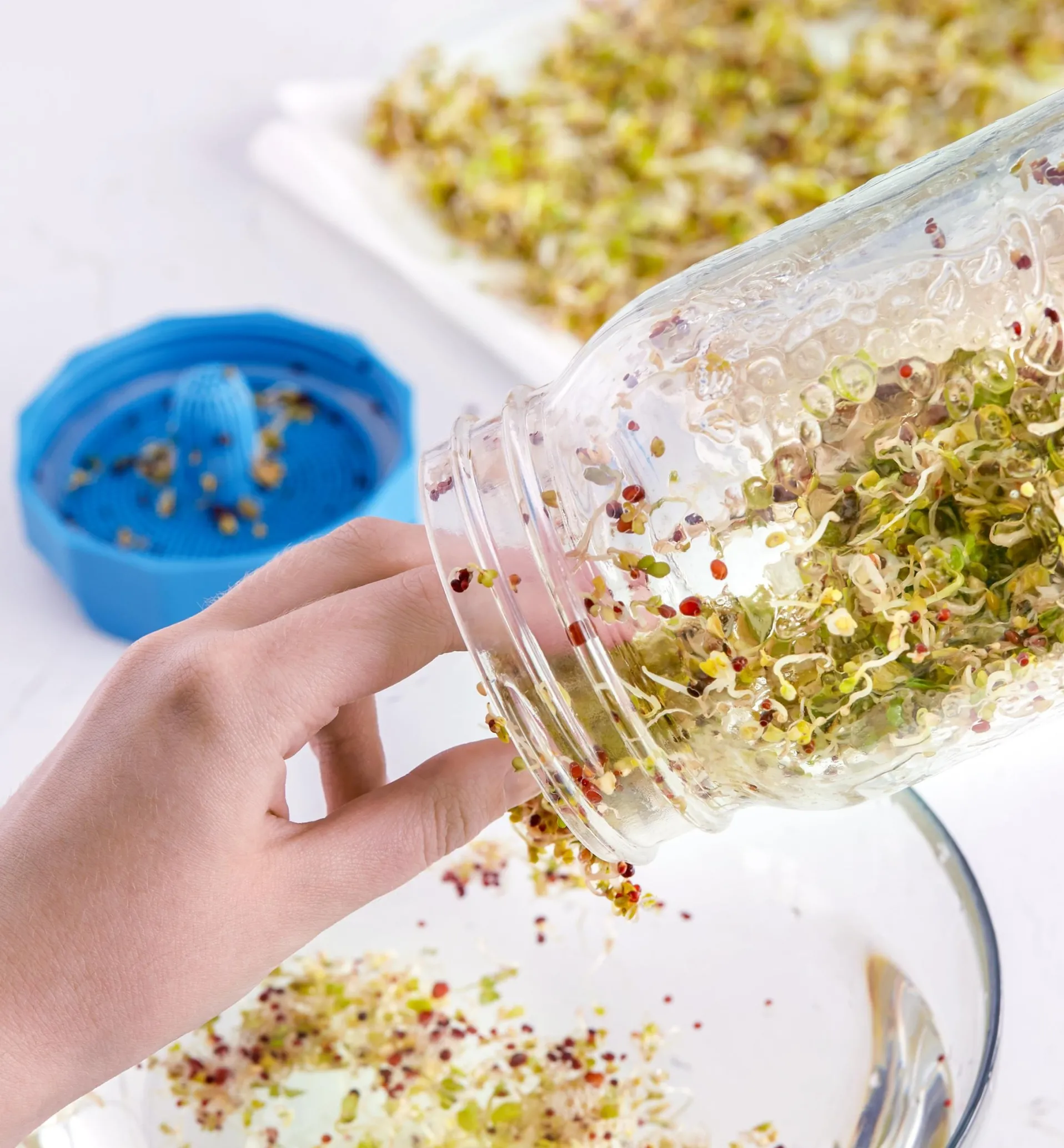 Lee Valley Bean Screen Sprouting Lids