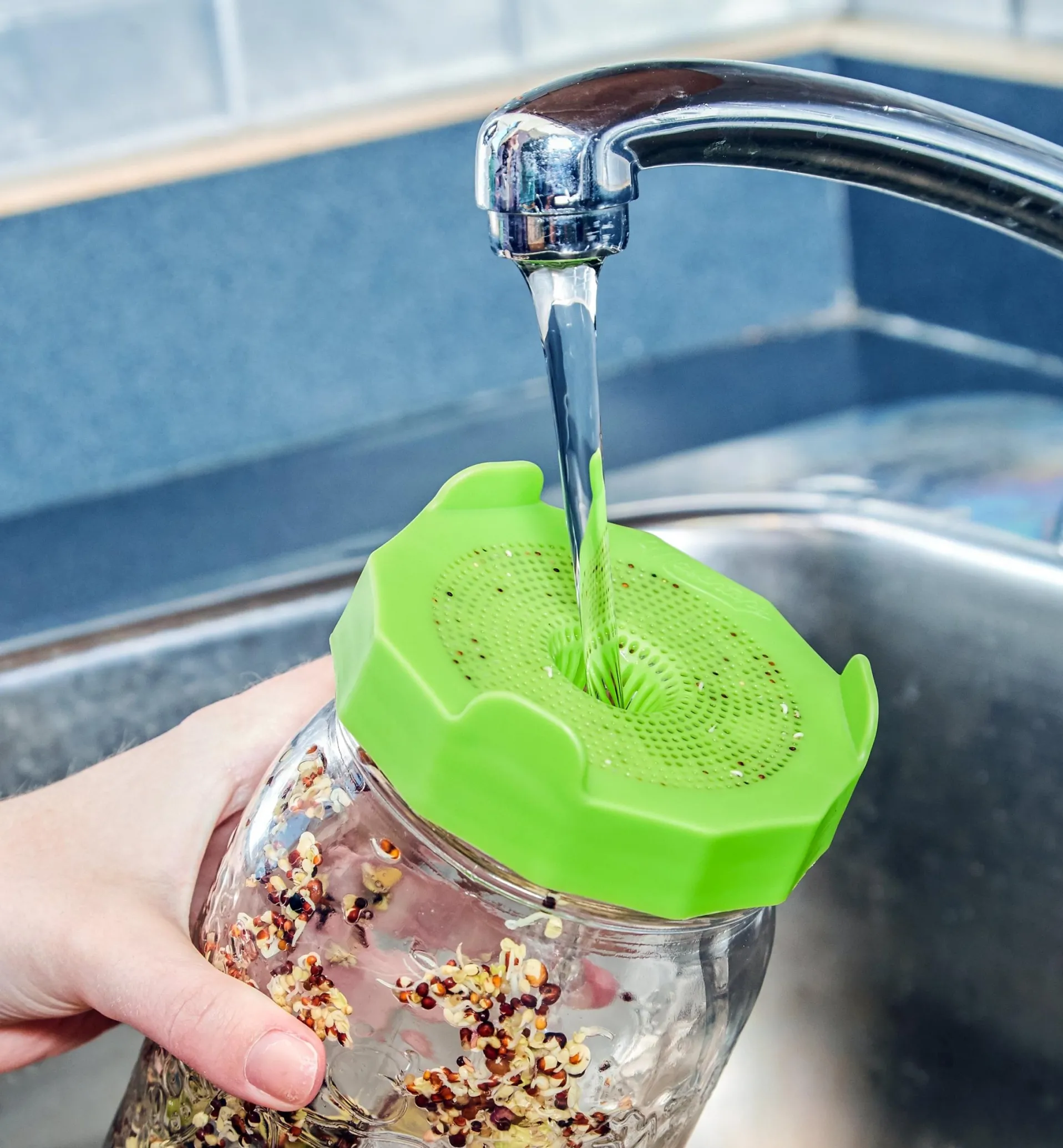Lee Valley Bean Screen Sprouting Lids