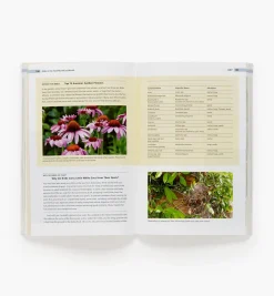 Lee Valley Birds In The Yard Month By Month