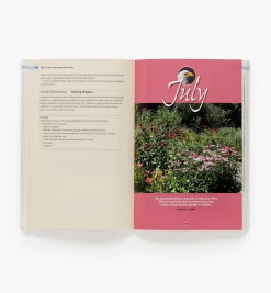 Lee Valley Birds In The Yard Month By Month