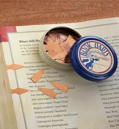 Lee Valley Book Darts