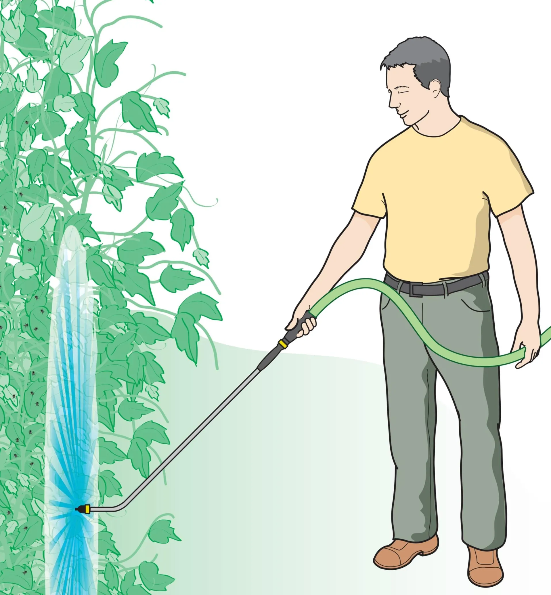 Lee Valley Bug Blaster & Water Wand