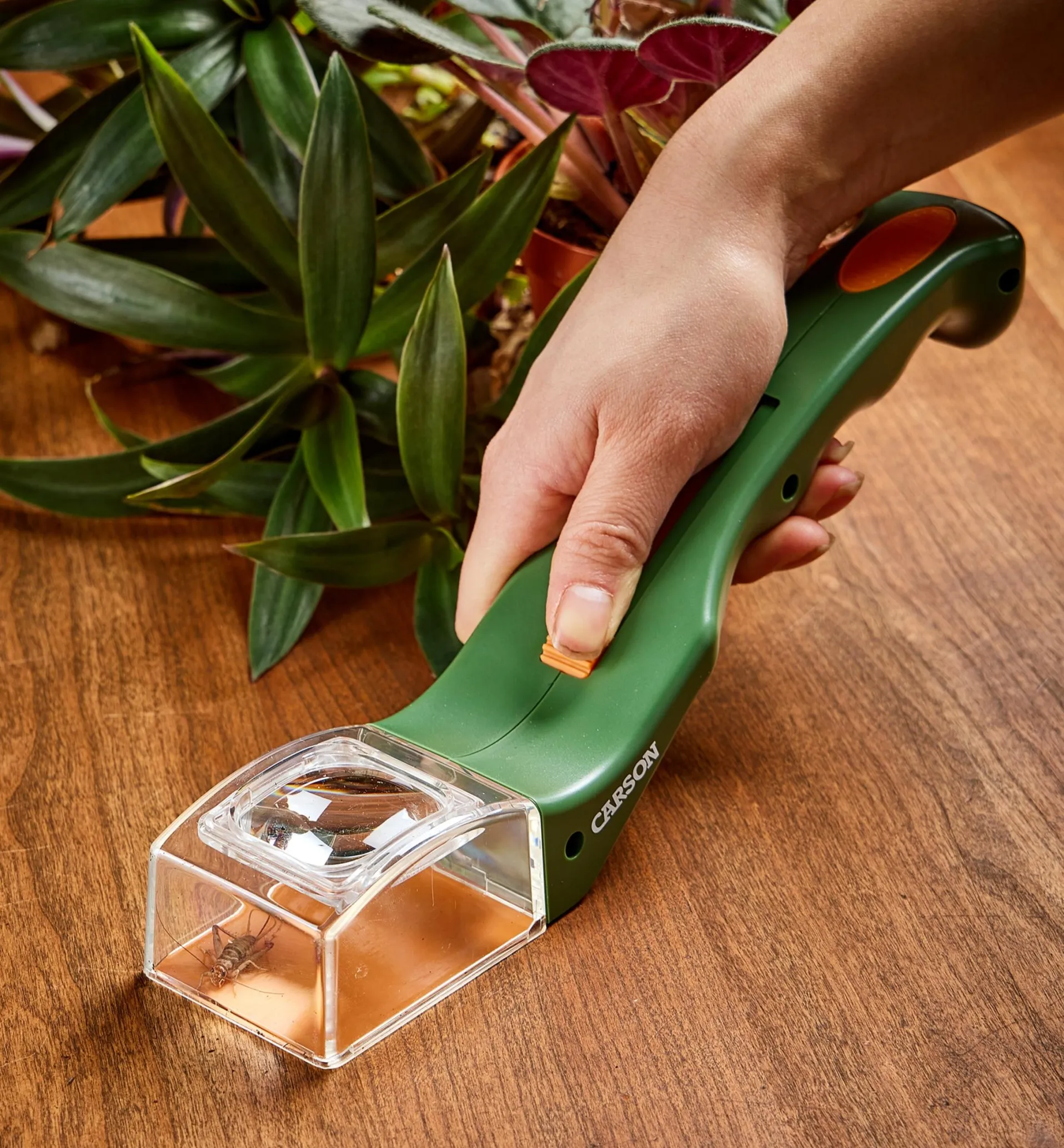 Lee Valley Bug Magnifier