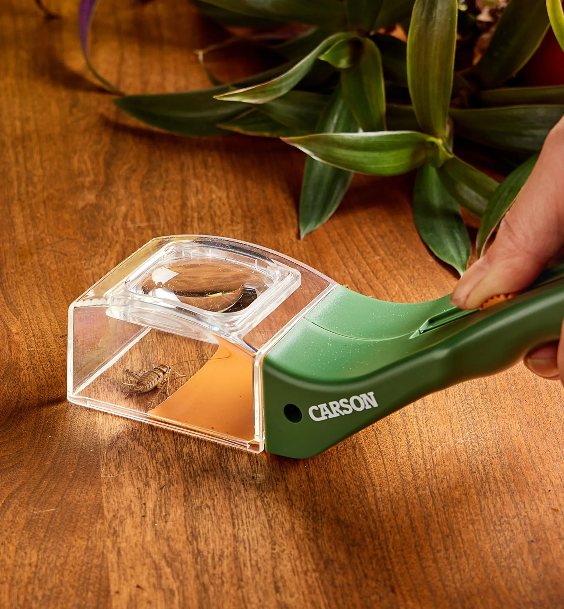 Lee Valley Bug Magnifier