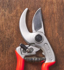 Lee Valley Castellari Curved-Anvil Pruner