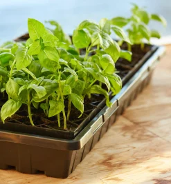 Lee Valley 72-Cell Air-Pruning Seed Starter