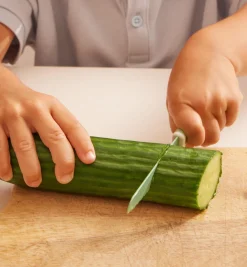 Lee Valley Child-Safe Knife