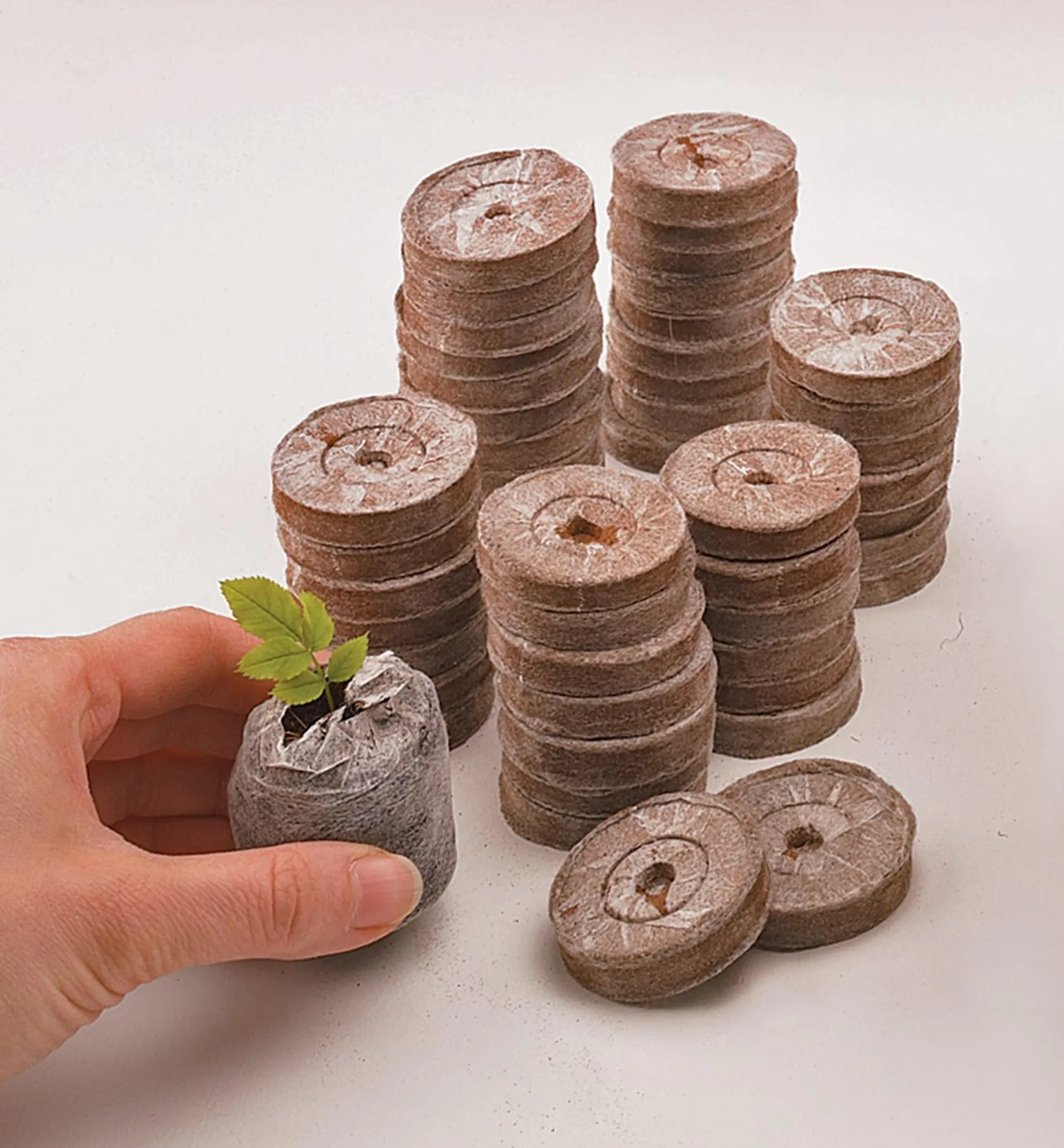 Lee Valley Coir Pellets