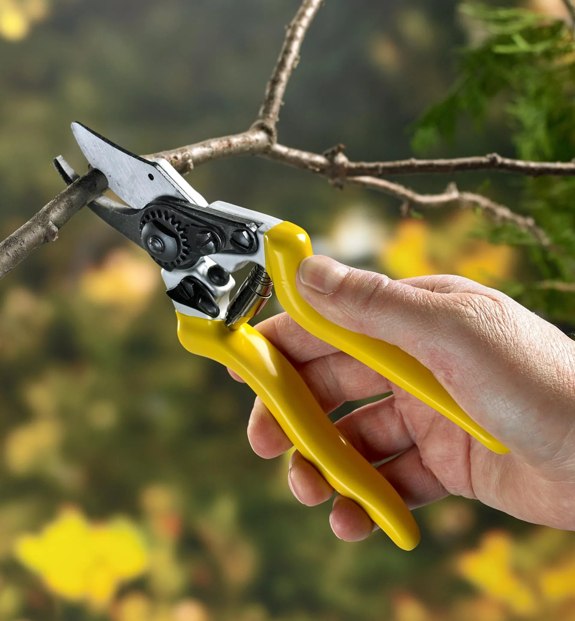 Lee Valley Complete Pruning Kit