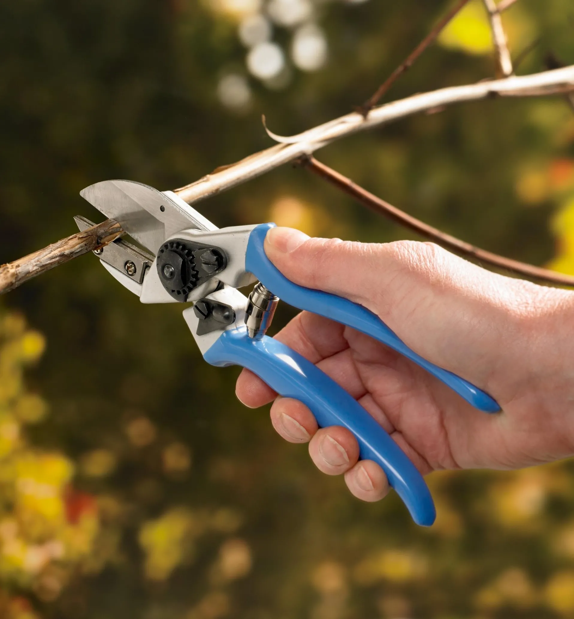 Lee Valley Complete Pruning Kit