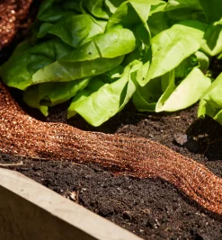 Lee Valley Copper Blocker