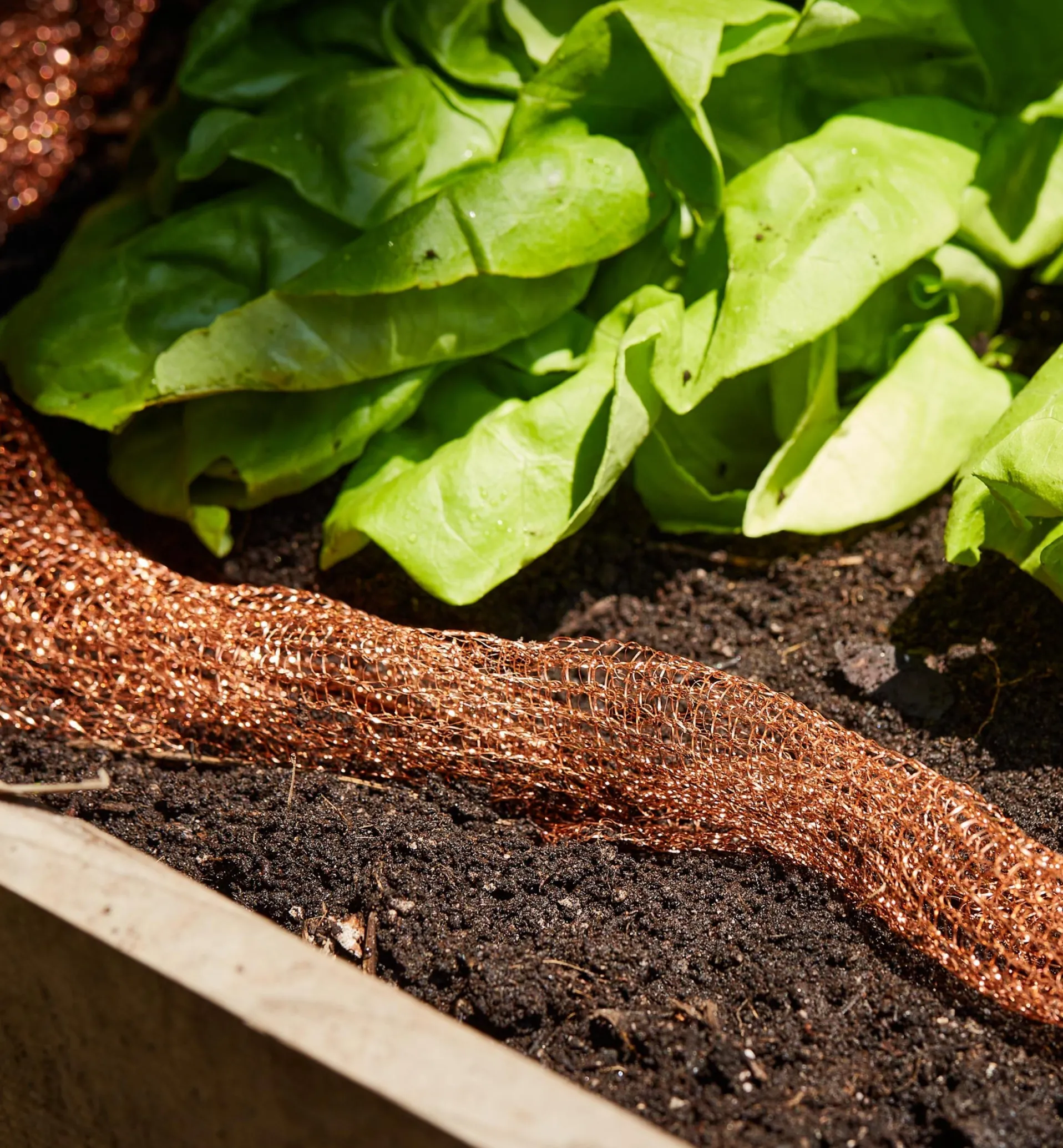 Lee Valley Copper Blocker