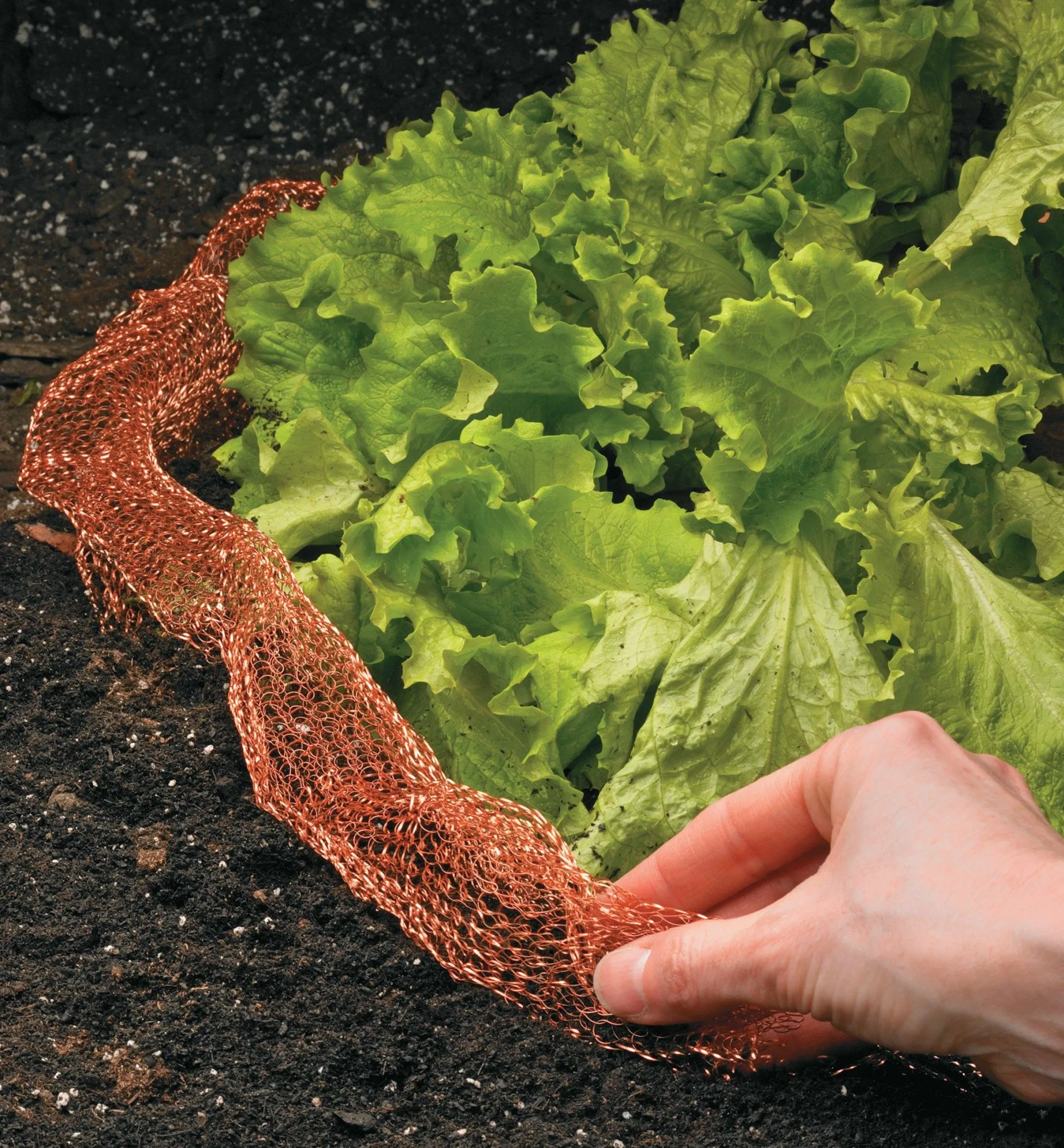 Lee Valley Copper Blocker