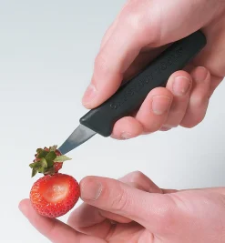 Lee Valley Coring Tool