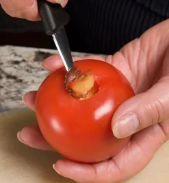 Lee Valley Coring Tool