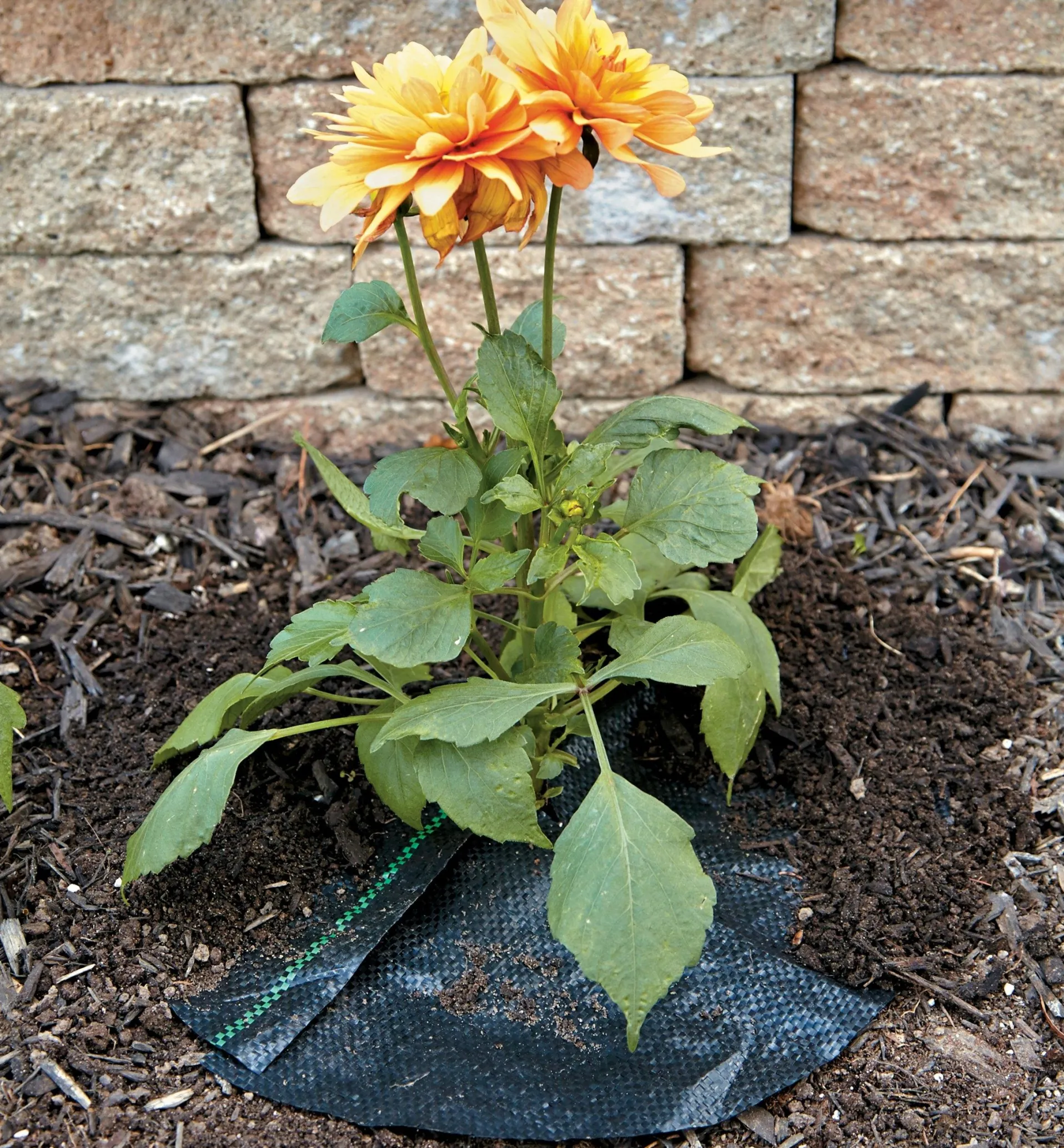 Lee Valley Crop Circles Weed-Barrier Mats