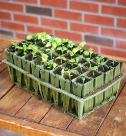 Lee Valley Deep Rootrainers Set