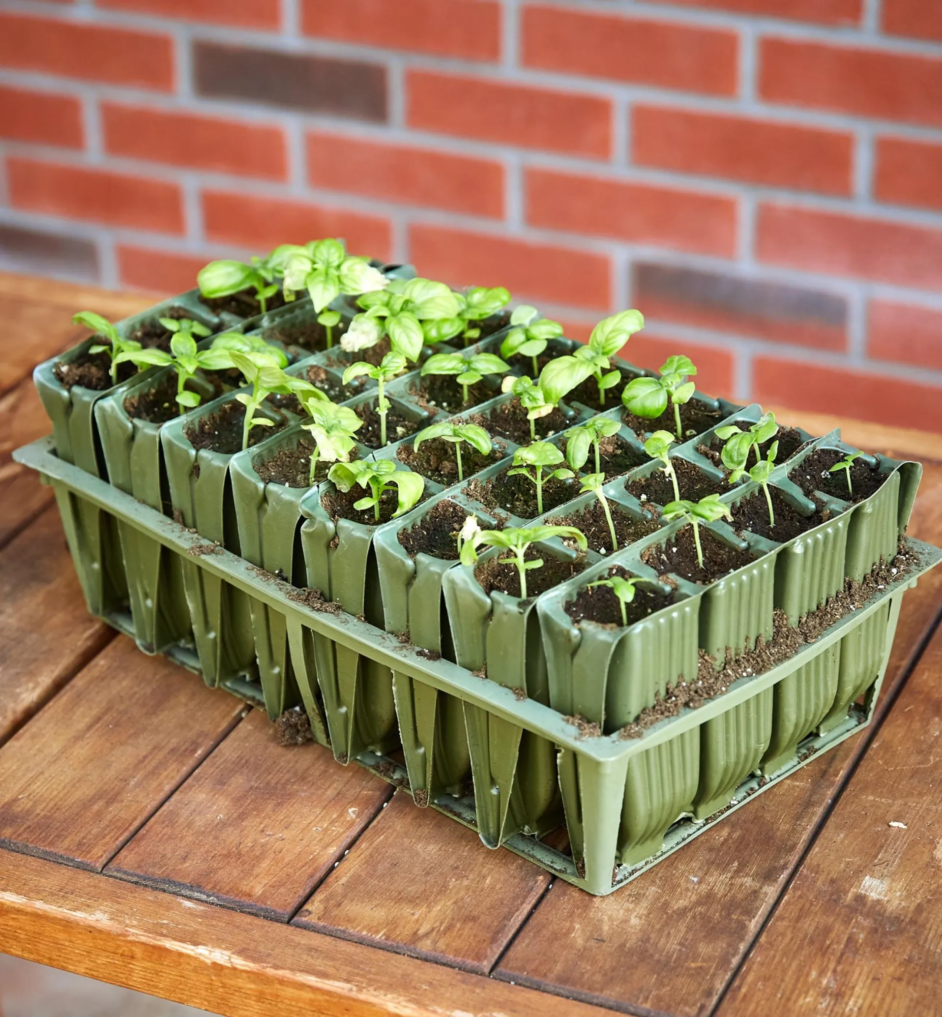 Lee Valley Deep Rootrainers Set