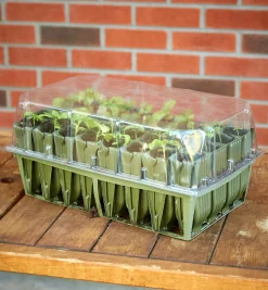 Lee Valley Deep Rootrainers Set