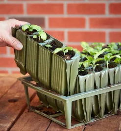 Lee Valley Deep Rootrainers Set