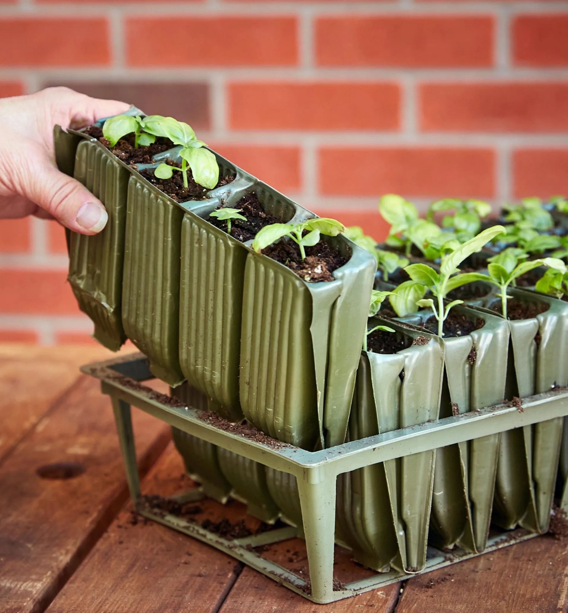 Lee Valley Deep Rootrainers Set