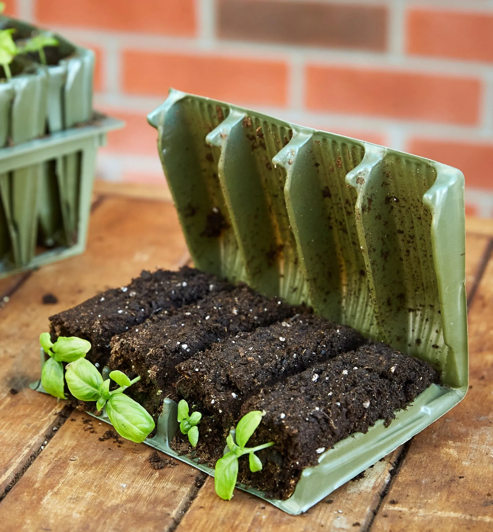 Lee Valley Deep Rootrainers Set