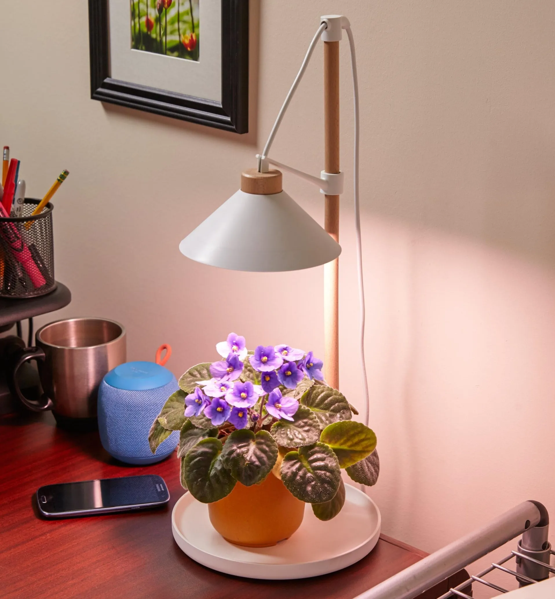 Lee Valley Desktop LED Grow Lamp