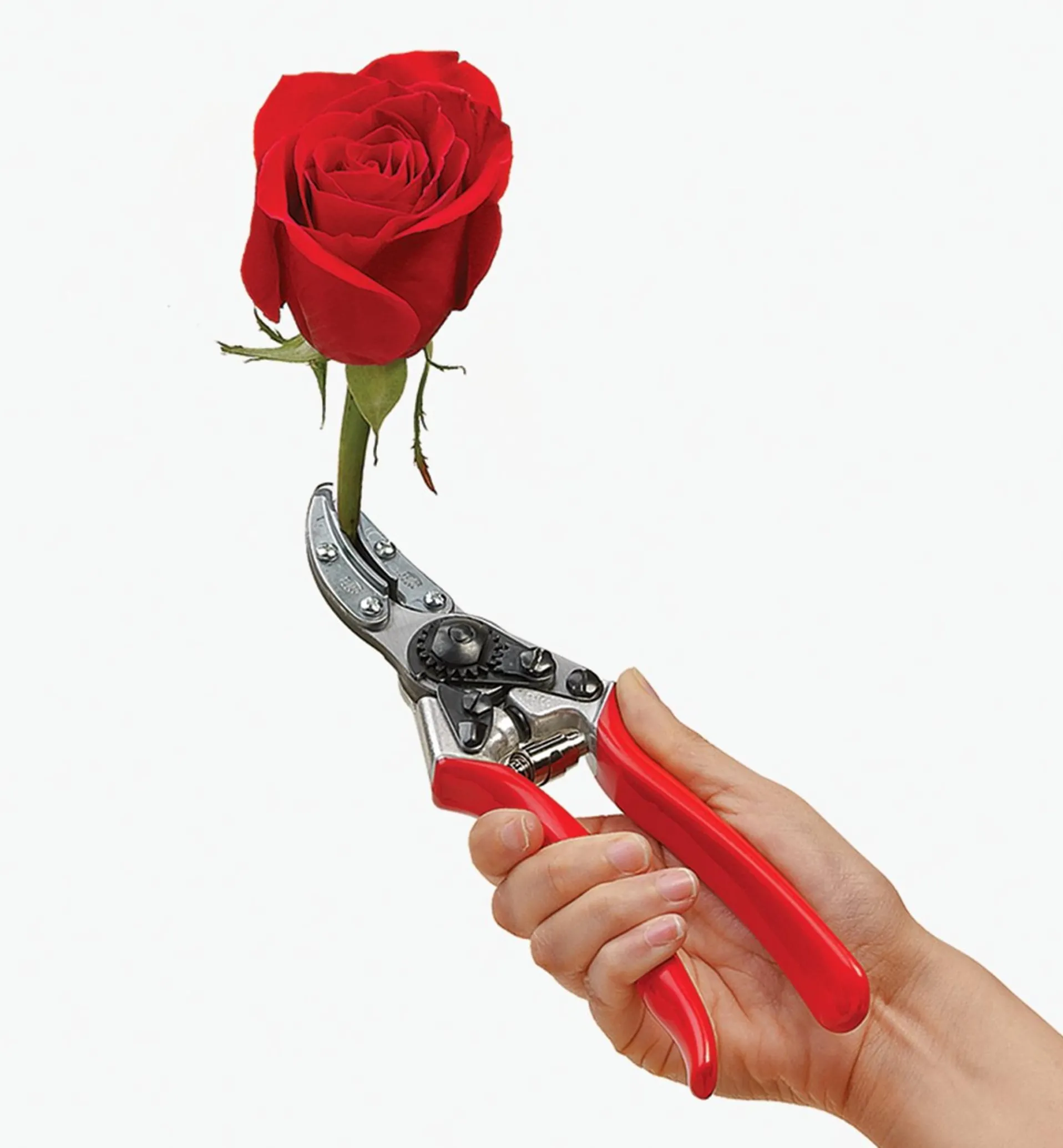 Lee Valley Felco #100 Cut-&-Hold Pruner