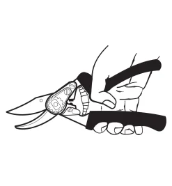 Lee Valley Felco #12 Pruner