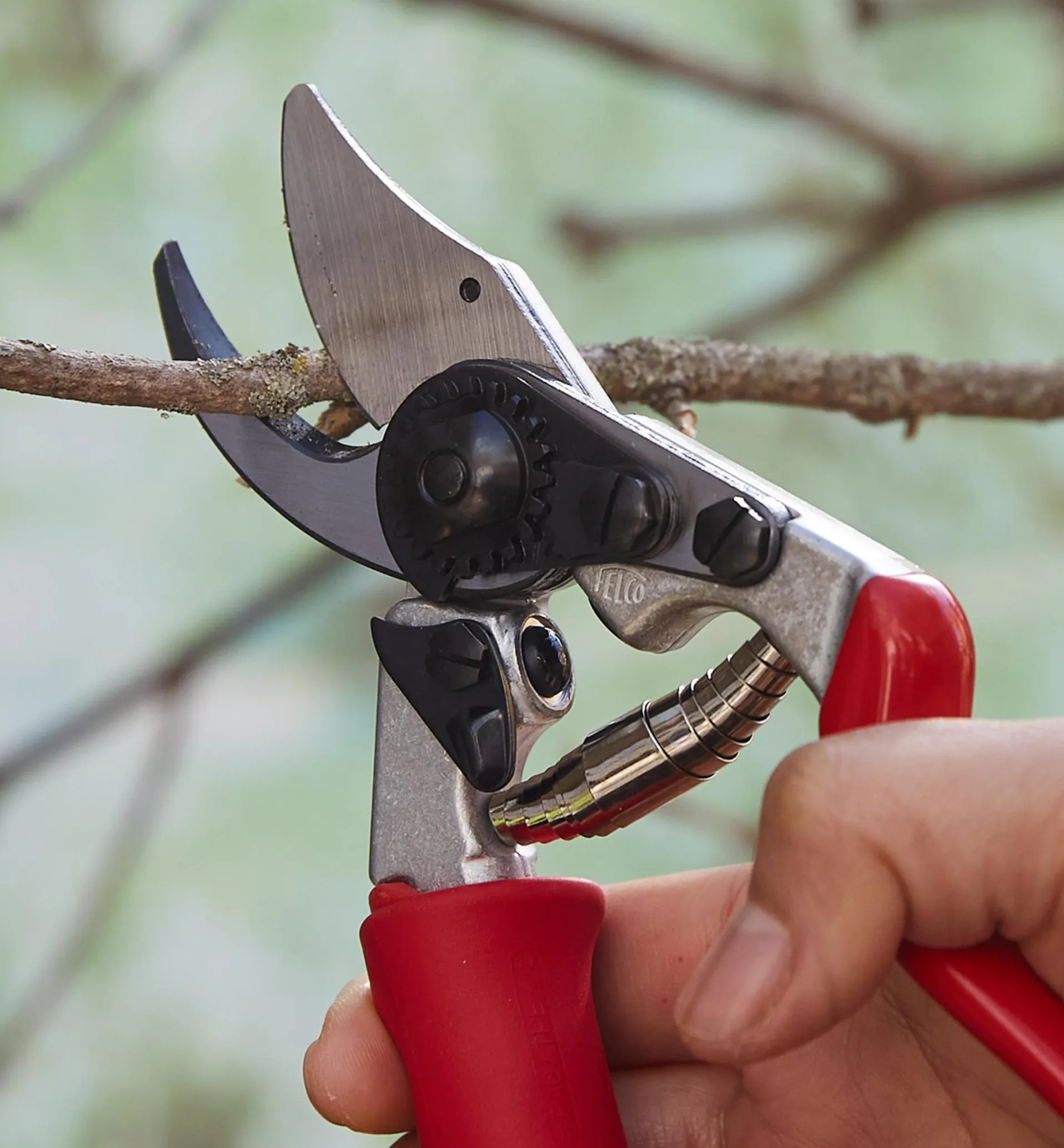 Lee Valley Felco #15 Pruner