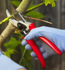 Lee Valley Felco Classic #2 Pruner & Pocket Knife