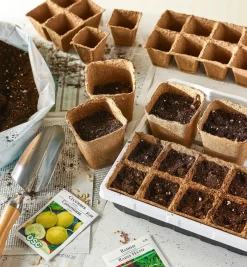 Lee Valley Fiber Pots