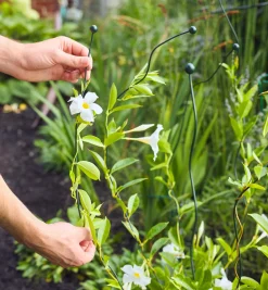 Lee Valley Flexible Garden Stake