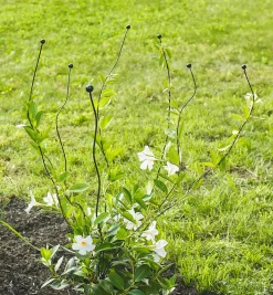 Lee Valley Flexible Garden Stake