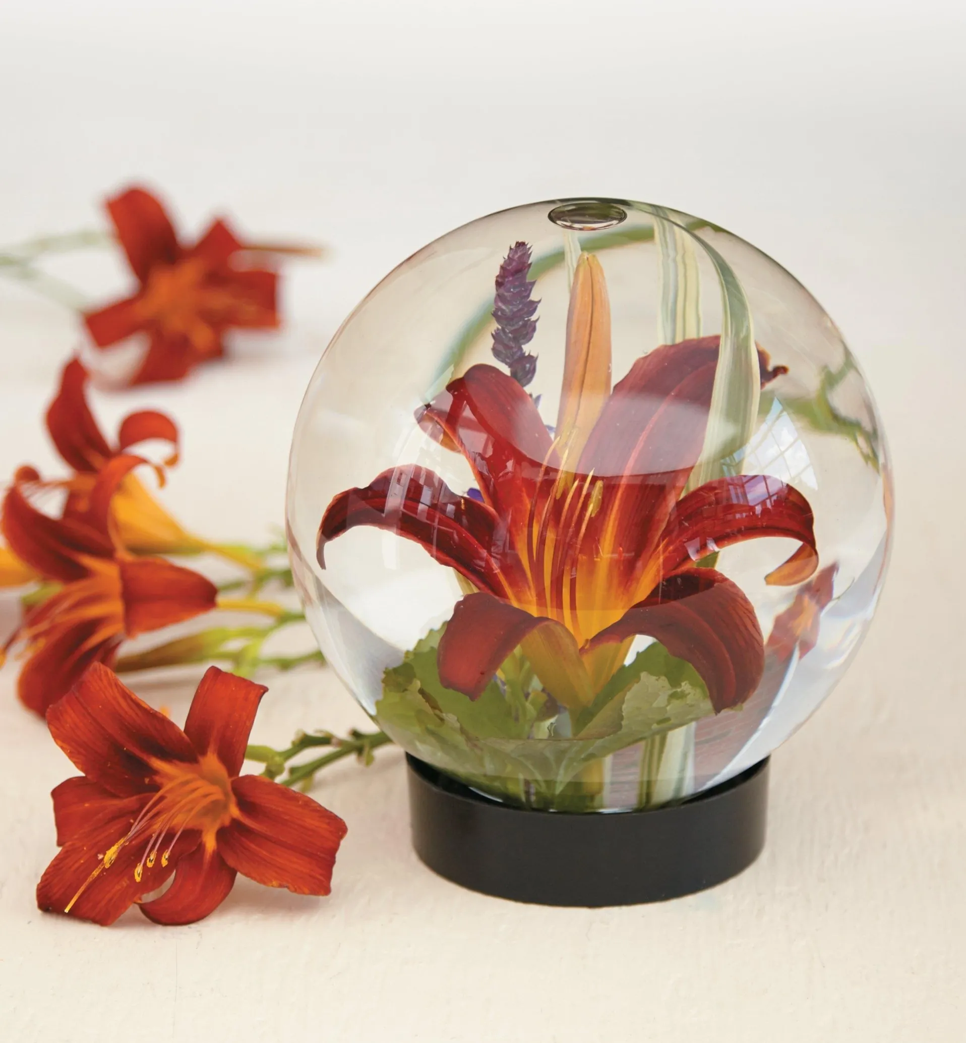 Lee Valley Flower Aquarium