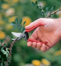 Lee Valley Forged Pocket Pruner