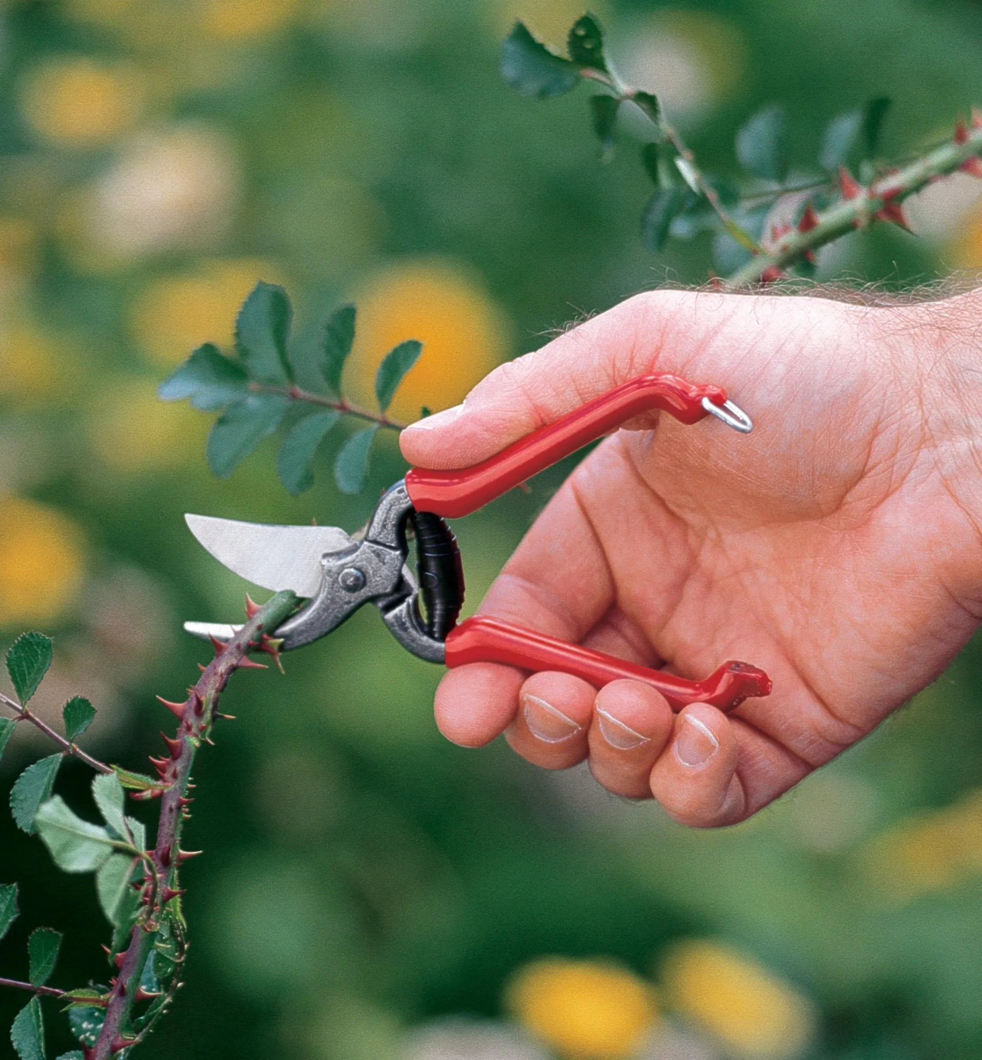 Lee Valley Forged Pocket Pruner