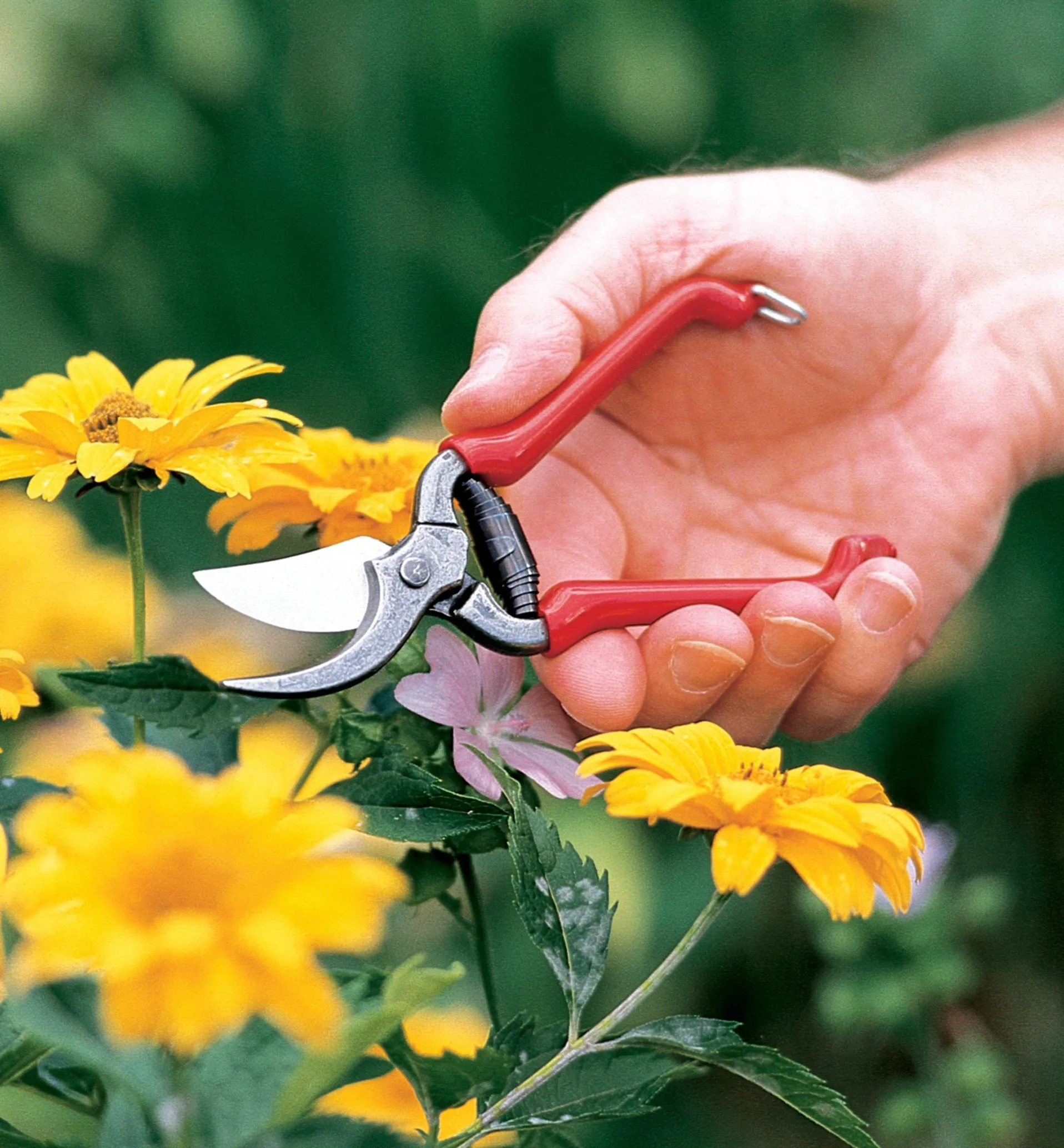 Lee Valley Forged Pocket Pruner