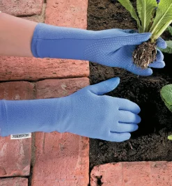 Lee Valley Foxgloves