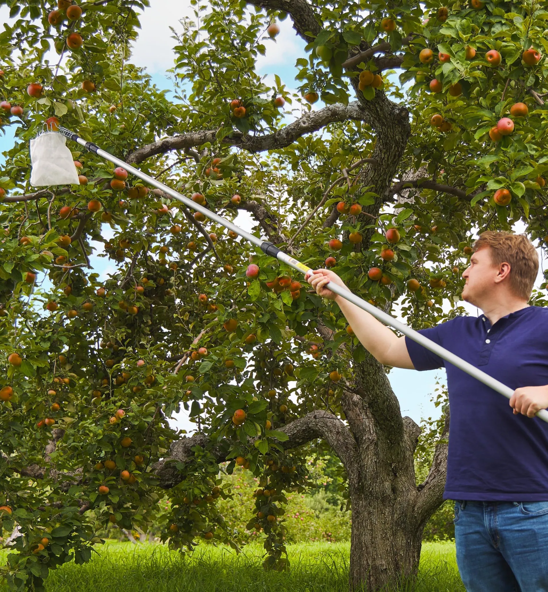 Lee Valley Fruit Picker