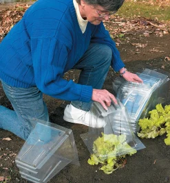 Lee Valley Garden Cloches