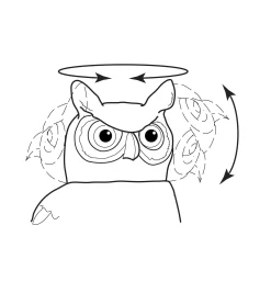 Lee Valley Garden Scare Owl